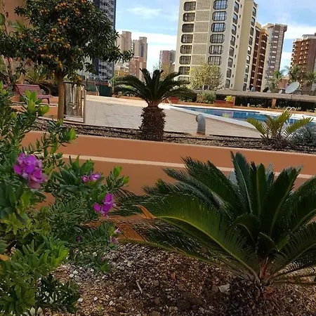 Fabuloso Apartamento En Apartamento